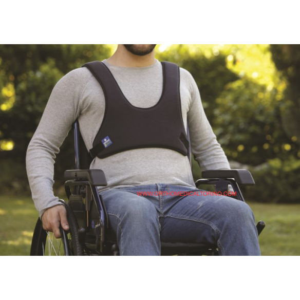 CINTURA PETTORALE A CORPETTO