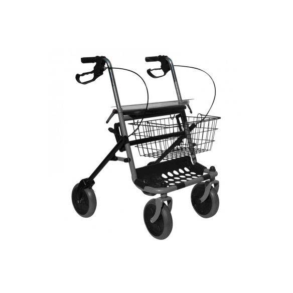 ROLLATOR DEAMBULATORE ROMA