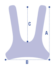 CINTURA PETTORALE A CORPETTO