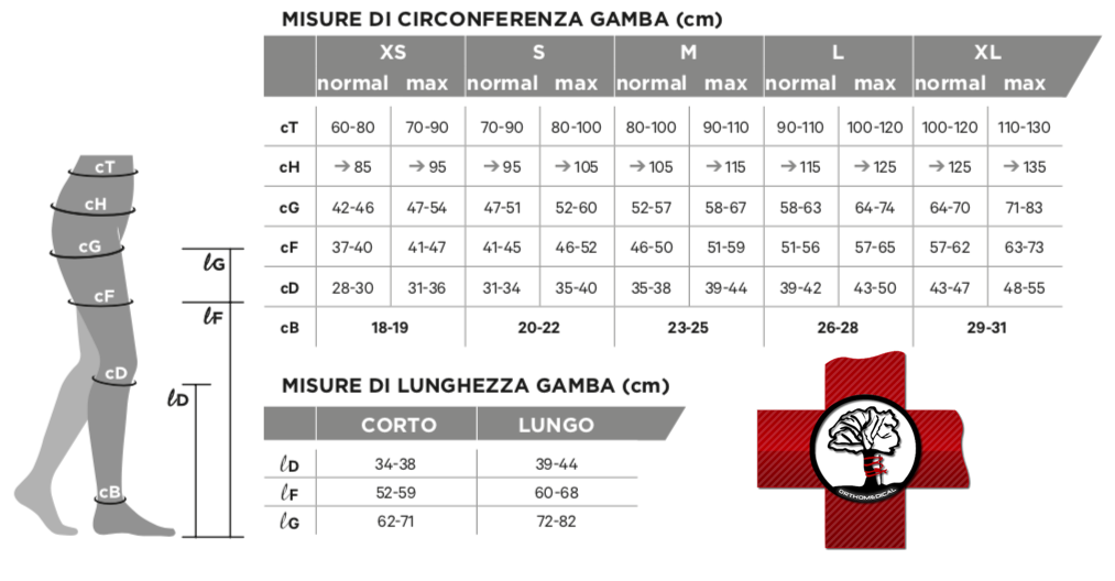 Tabella misure Calze Gloria Med Cotton Evo 262 punta aperta Seconda Classe